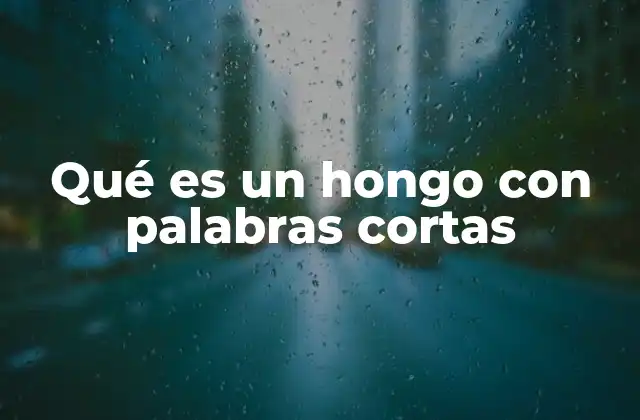 Qué es un Hongo con Palabras Cortas