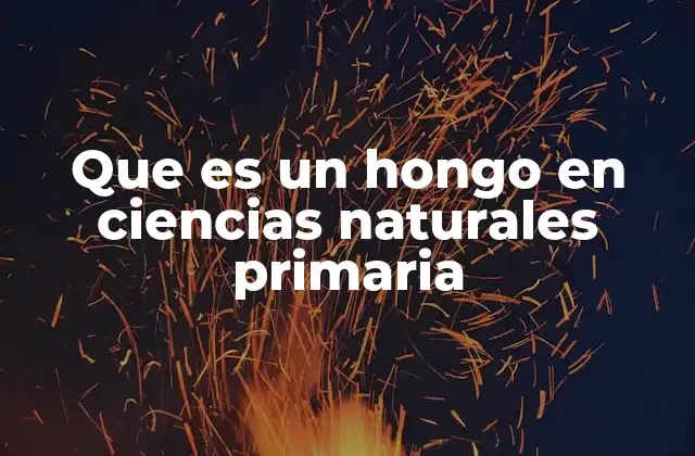Que es un Hongo en Ciencias Naturales Primaria