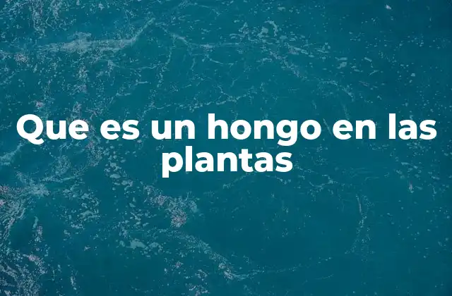 El papel de los hongos en el ecosistema vegetal