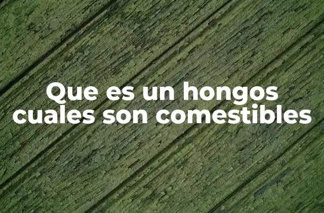 Que es un Hongos Cuales Son Comestibles