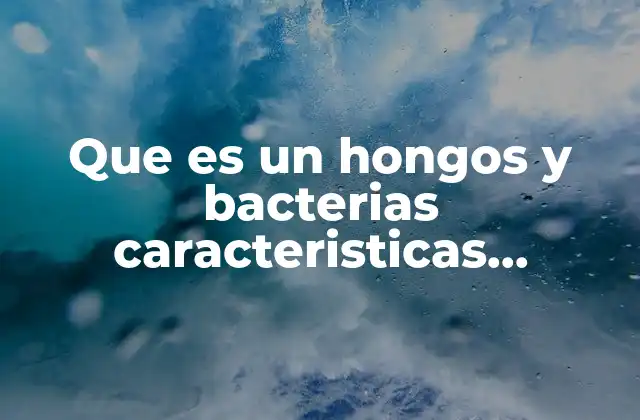 Que es un Hongos y Bacterias Caracteristicas Clasificacion