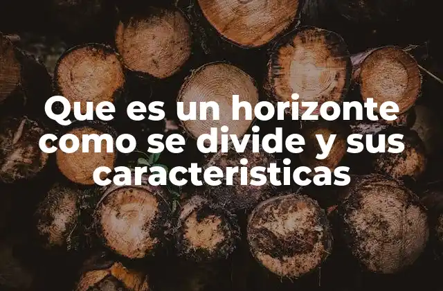 La formación y evolución de los horizontes del suelo