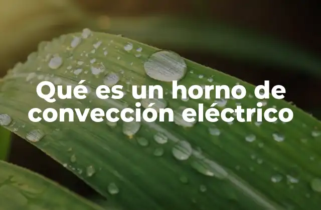 Cómo funciona un horno de convección eléctrico