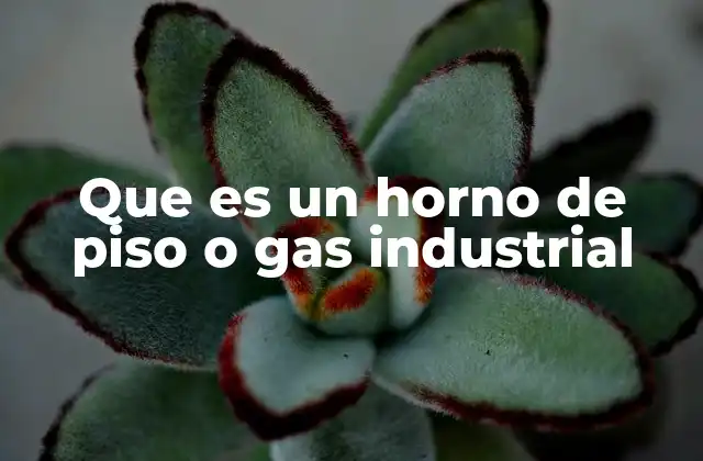 Que es un Horno de Piso o Gas Industrial
