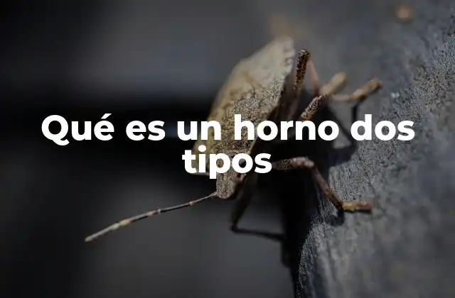 Diferencias clave entre los hornos eléctricos y los hornos a gas