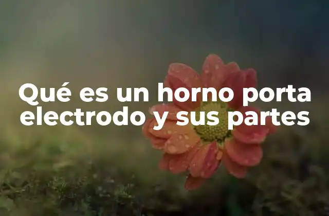 Qué es un Horno Porta Electrodo y Sus Partes