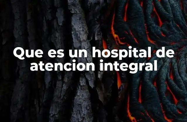Que es un Hospital de Atencion Integral