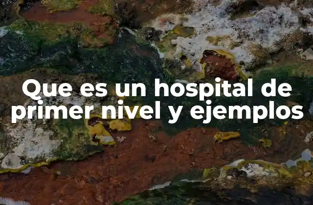 Que es un Hospital de Primer Nivel y Ejemplos