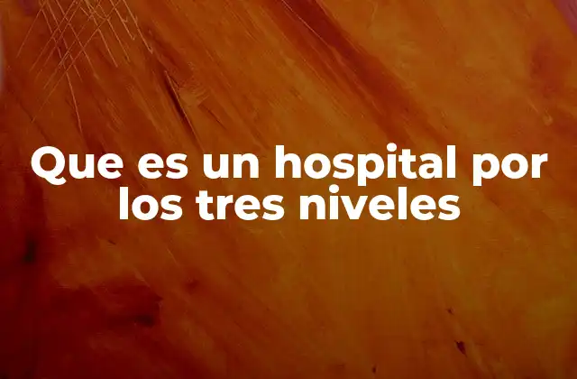 Que es un Hospital por los Tres Niveles