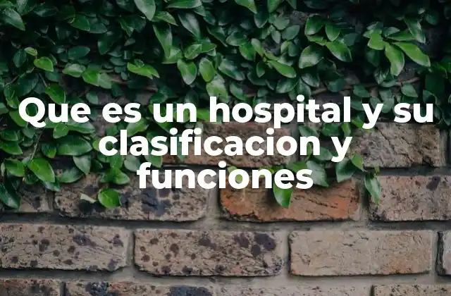 Que es un Hospital y Su Clasificacion y Funciones