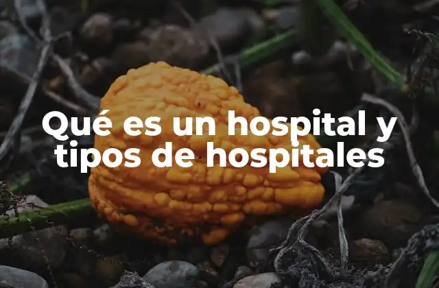 Qué es un Hospital y Tipos de Hospitales