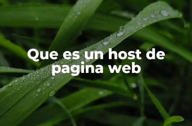 Cómo funciona el alojamiento web sin mencionar directamente la palabra clave