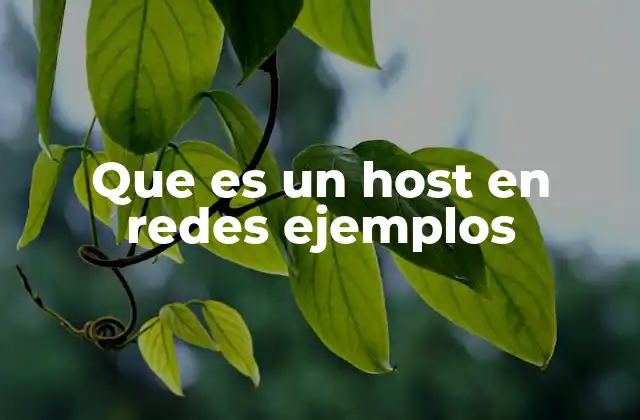 Que es un Host en Redes Ejemplos