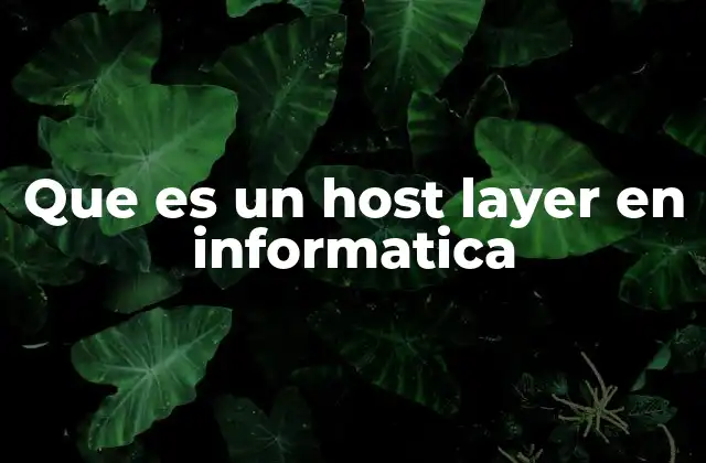 Que es un Host Layer en Informatica