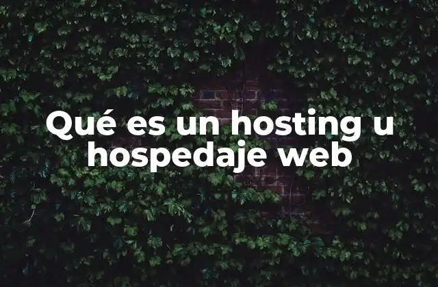 Qué es un Hosting u Hospedaje Web