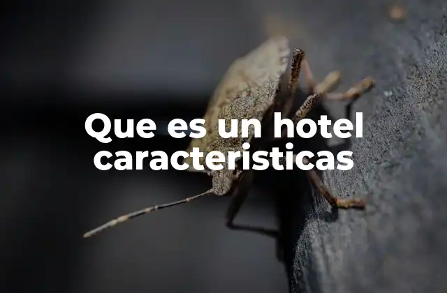 Espacios y servicios que definen un hotel