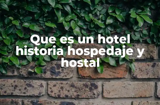 Que es un Hotel Historia Hospedaje y Hostal