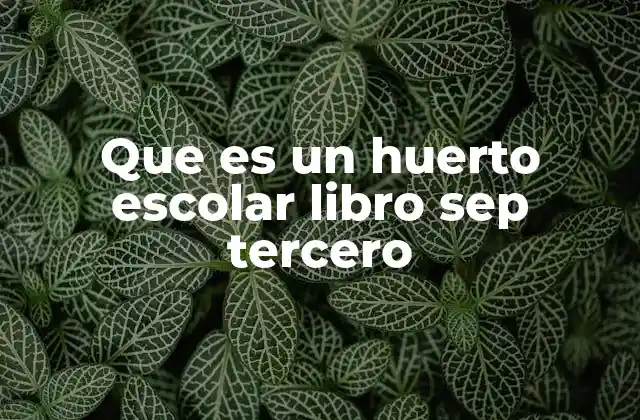 La importancia del huerto escolar en la educación primaria