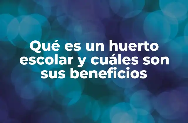 Qué es un Huerto Escolar y Cuáles Son Sus Beneficios