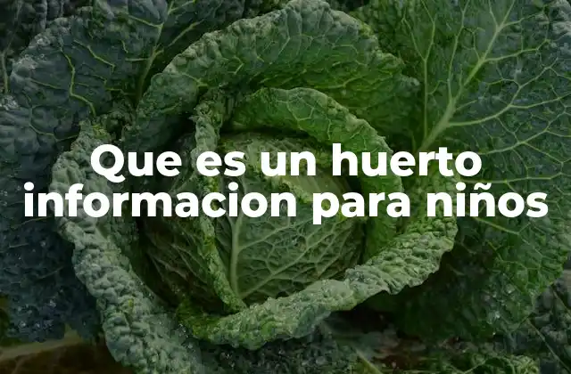 Que es un Huerto Informacion para Niños