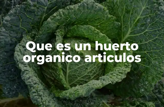 Que es un Huerto Organico Articulos