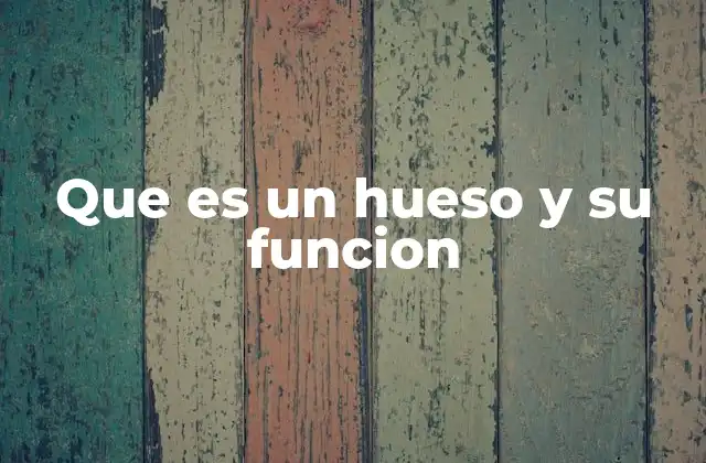 Que es un Hueso y Su Funcion