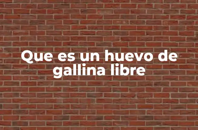 Que es un Huevo de Gallina Libre
