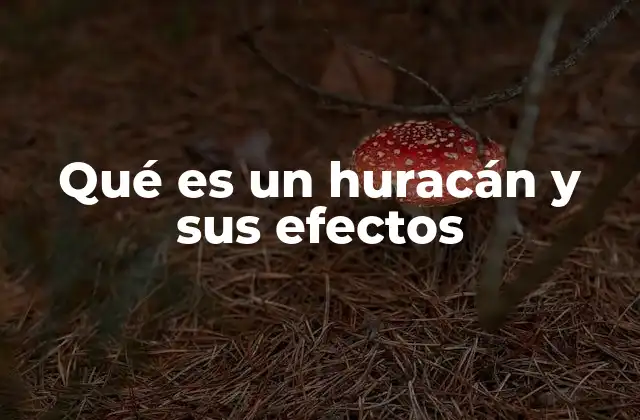Qué es un Huracán y Sus Efectos