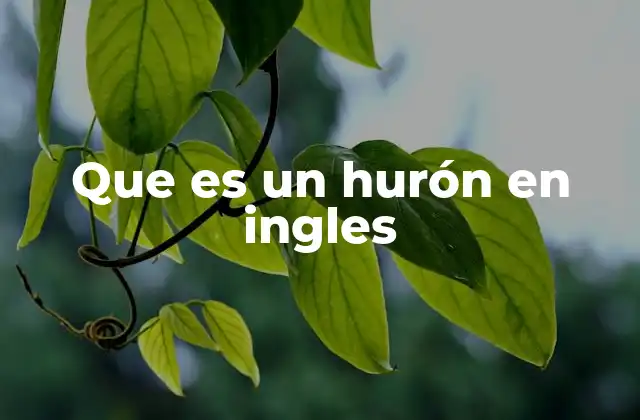 El hurón en el idioma inglés y su importancia cultural