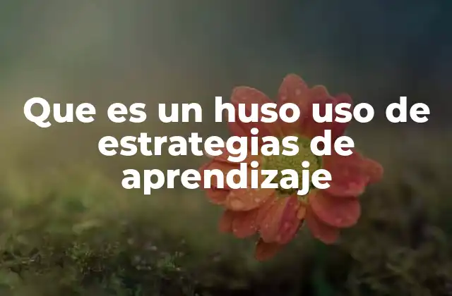 Que es un Huso Uso de Estrategias de Aprendizaje