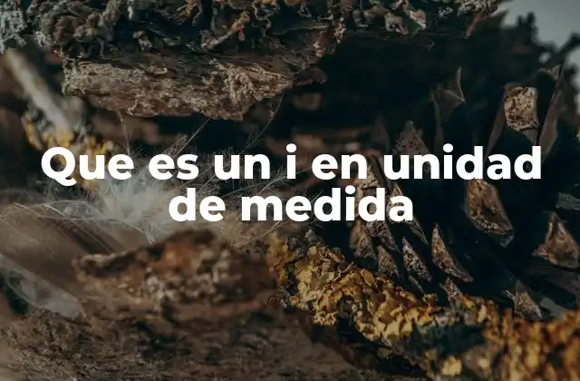 Que es un I en Unidad de Medida 2 El uso de i en física y electrónica