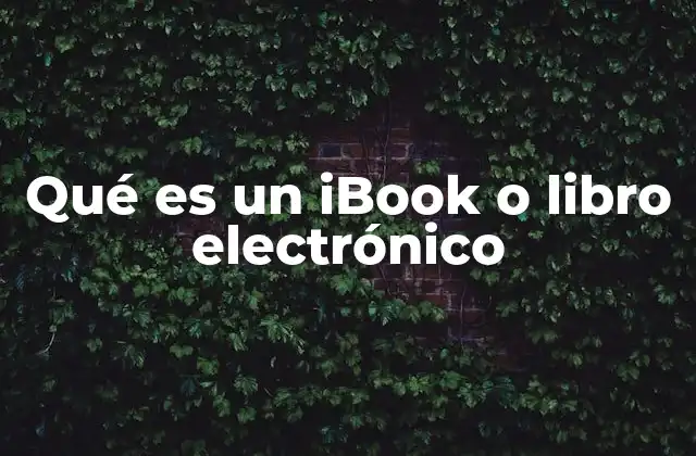 Qué es un Ibook o Libro Electrónico