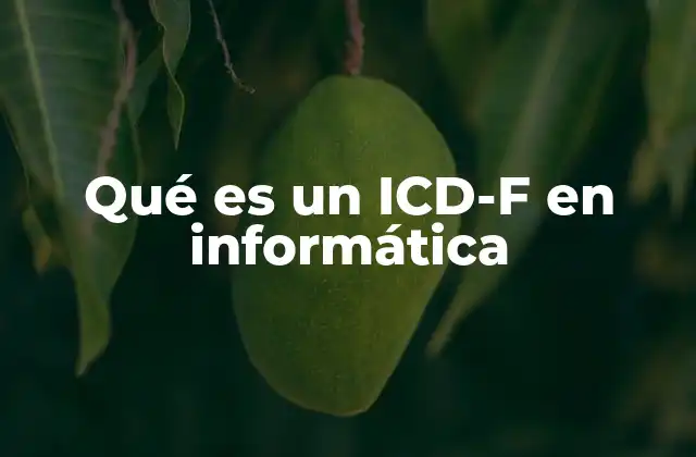 Qué es un Icd-f en Informática