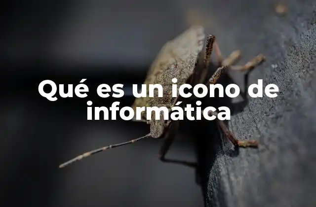 Qué es un Icono de Informática