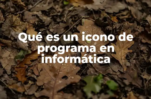 Qué es un Icono de Programa en Informática