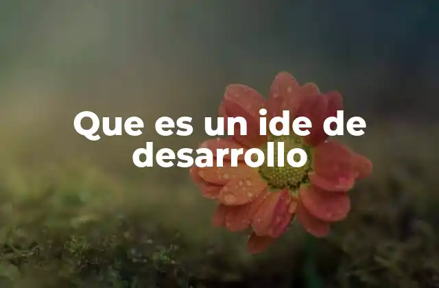 Que es un Ide de Desarrollo