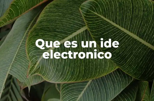 Que es un Ide Electronico