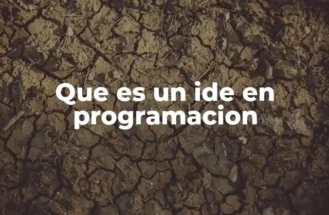 Que es un Ide en Programacion
