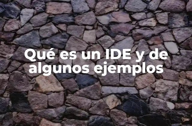 Qué es un Ide y de Algunos Ejemplos