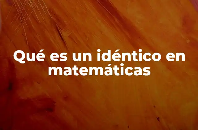 Qué es un Idéntico en Matemáticas