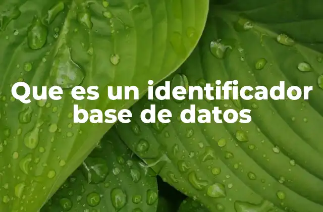 Que es un Identificador Base de Datos