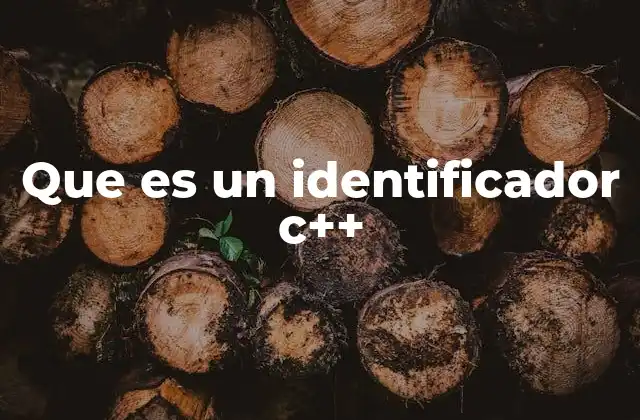Que es un Identificador C++