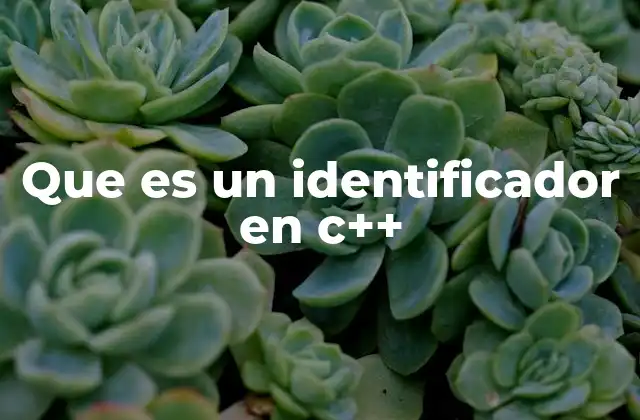 Que es un Identificador en C++