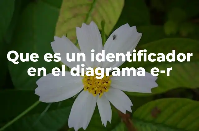Que es un Identificador en el Diagrama E-r
