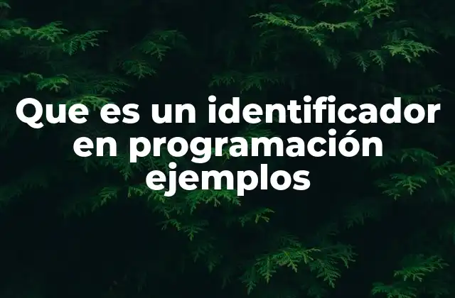 Que es un Identificador en Programación Ejemplos