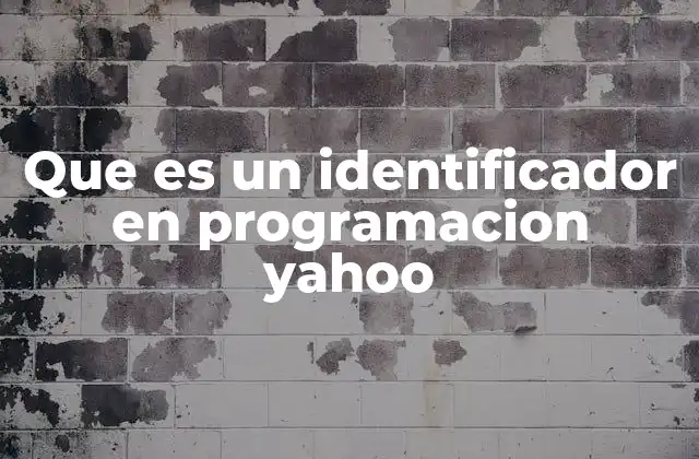 Que es un Identificador en Programacion Yahoo
