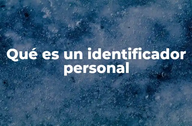 Qué es un Identificador Personal