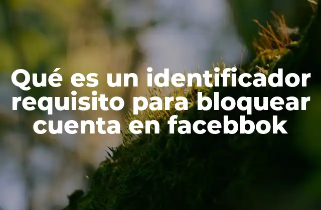 Qué es un Identificador Requisito para Bloquear Cuenta en Facebbok