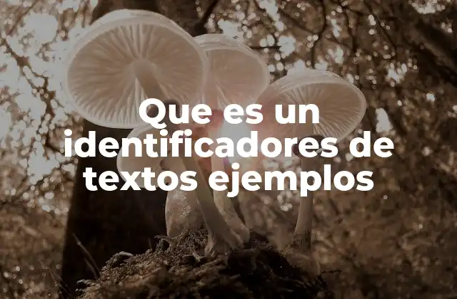 Que es un Identificadores de Textos Ejemplos