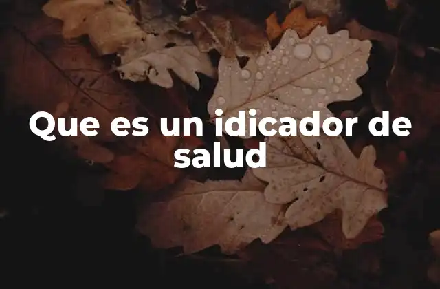 Que es un Idicador de Salud